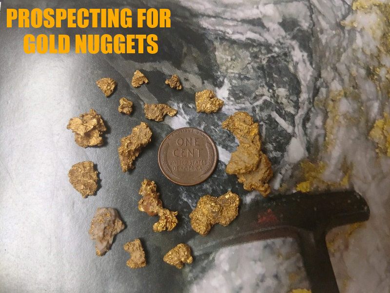 Half Pound of the Best Gold Nuggets I Metal Detected this Winter :  r/metaldetecting